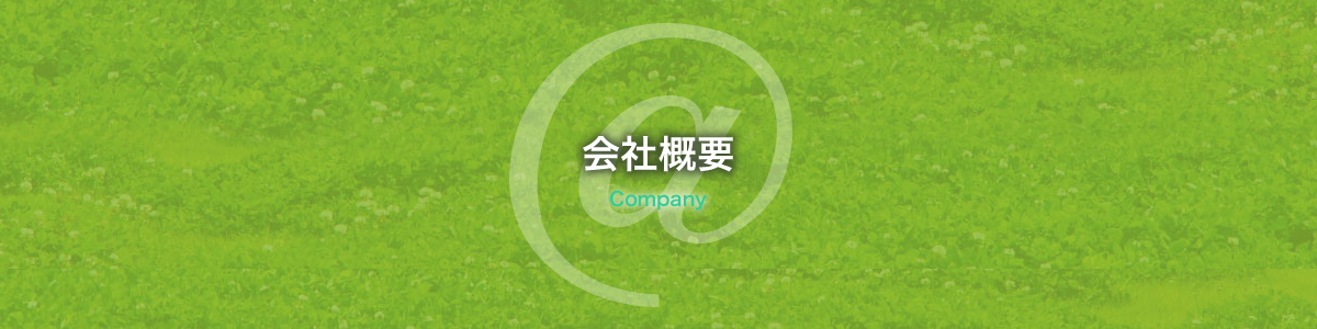 仙台で格安で高品質なホームページを提供制作している会社です